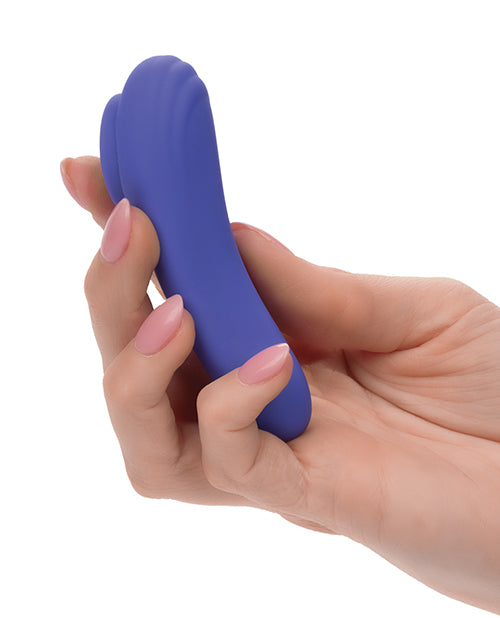 Connect App Based Panty Teaser - Lady Maven - Maison du Maven