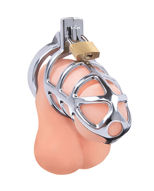 Lockmaster 3.75" Stainless Steel Prisoner Cock Cage - Silver - Lady Maven - Maison du Maven