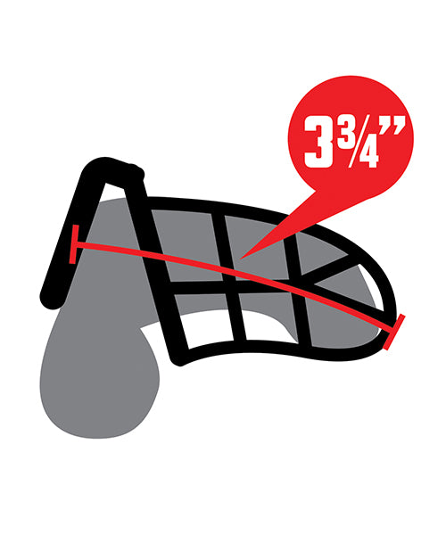 Lockmaster 3.75" Stainless Steel Prisoner Cock Cage - Silver - Lady Maven - Maison du Maven