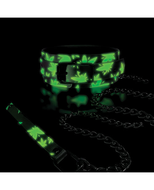 Stoner Vibes Glow in the Dark Collar & Leash - Lady Maven - Maison du Maven