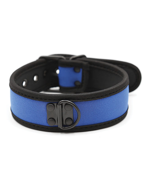 Plesur Neoprene Puppy Collar - Blue - Lady Maven - Maison du Maven