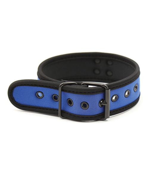 Plesur Neoprene Puppy Collar - Blue - Lady Maven - Maison du Maven