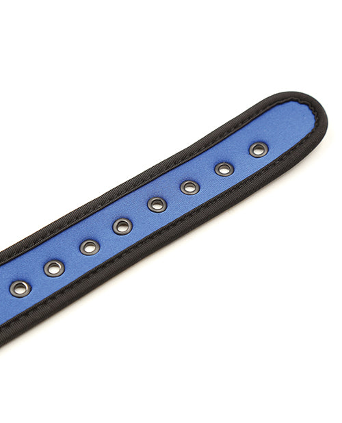 Plesur Neoprene Puppy Collar - Blue - Lady Maven - Maison du Maven