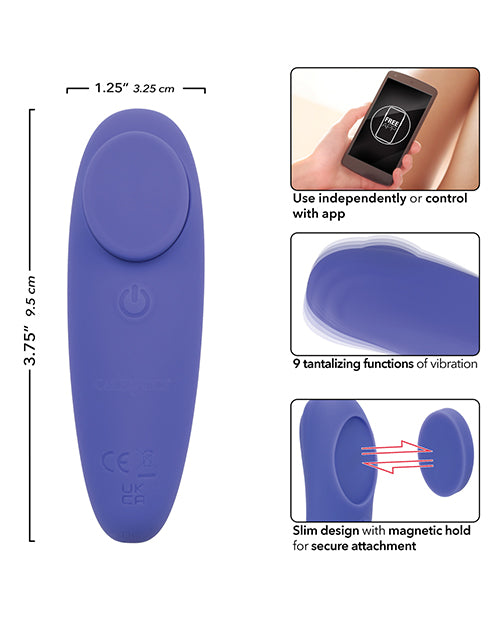 Connect App Based Panty Teaser - Lady Maven - Maison du Maven