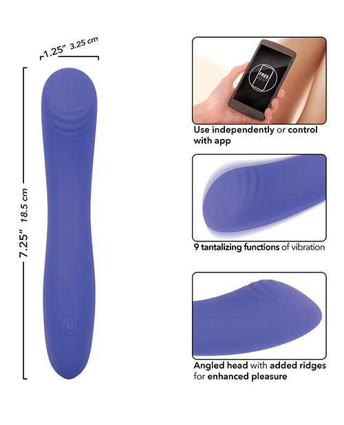 Connect App Based Contoured G Vibrator - Lady Maven - Maison du Maven