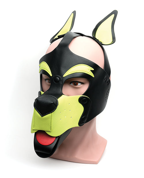 665 Playful Pup Hood - O/S Black/Yellow - Lady Maven - Maison du Maven
