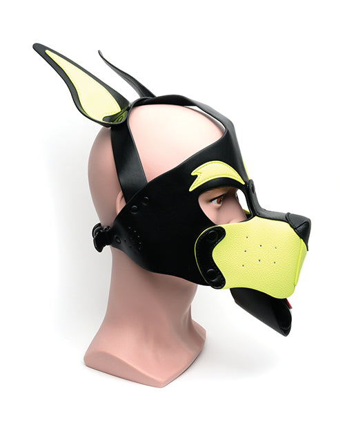 665 Playful Pup Hood - O/S Black/Yellow - Lady Maven - Maison du Maven