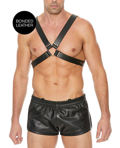 Shots Ouch Men's Large Buckle Harness - Black - Lady Maven - Maison du Maven